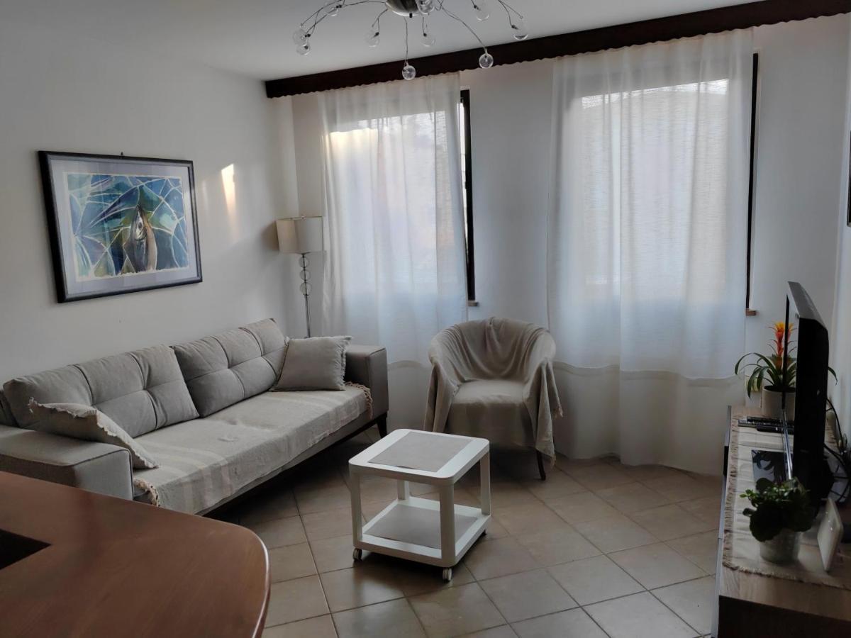 Apartament App Mirjana Novigrad  Zewnętrze zdjęcie